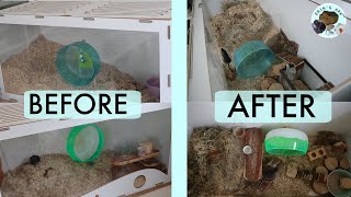 Enrichment For Gerbils  Before amp After [upl. by Mendes827]