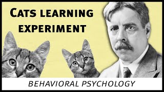 Edward Thorndike cats experiment behavioral psychology [upl. by Nanis772]