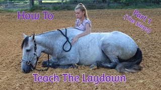 How To Teach Your Horse The ‘Laydown Part 1 No RopesNo Force [upl. by Elades66]