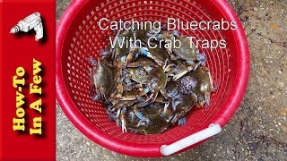 How To Catch Bluecrabs with Crab Traps [upl. by Ynattirb]