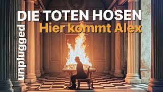 Die Toten Hosen  Hier kommt Alex  Acoustic Cover [upl. by Yadsendew]