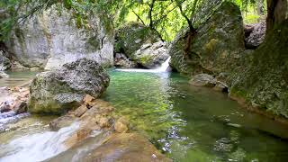 Clear Water Mountain Stream Nature Sounds Small Waterfall Flowing White Noise for Relaxing Sleep [upl. by Droc]