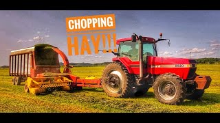 Hay Harvest Chopping Hay Silage featuring Self Propelled AND Pull Type Choppers makinghay [upl. by Jeraldine]