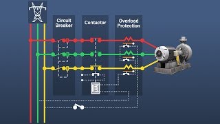 Motor Overload Protection [upl. by Atteuqihc]