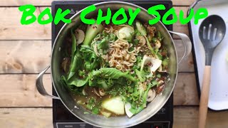 Ginger Garlic Noodle Soup with Bok Choy [upl. by Novaelc636]