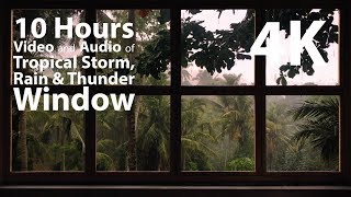 4K 10 hours  Tropical Storm Window with Rain amp Thunder  relaxation meditation nature [upl. by Ycrem]