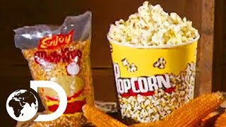 POPCORN  How Its Made [upl. by Gitlow]