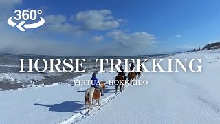 【VR】Abashiri Horse Trekking [upl. by Glenda]