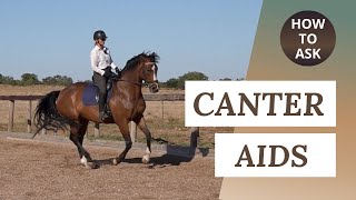 Canter Transitions  How To Ask For Canter [upl. by Attennyl]