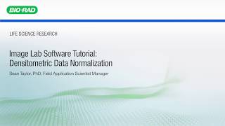 Image Lab Software Tutorial Densitometric Data Normalization [upl. by Ecinej]