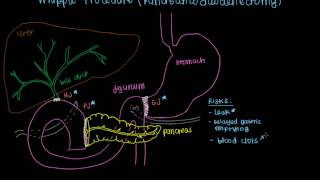 Syphilis  Clinical Presentation [upl. by Aelanej]