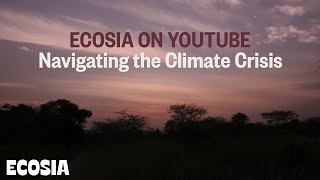 Welcome to Ecosia  Trees and the Climate Crisis Explained [upl. by Ahsoek620]