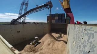 mv Hollandia loading woodchips in Sheet Harbour [upl. by Smail287]