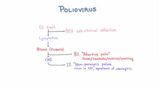 Polio  Clinical Presentations [upl. by Lipsey603]