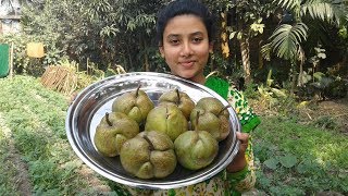 Elephant Apple Pickle Recipe  Chalta Achar Cooking  Prepared By Street Village Food [upl. by Jaela]