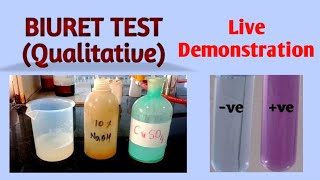 Biuret test  Biochemistry [upl. by Lledroc386]