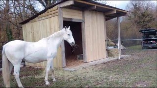 Comment construire un box pour son cheval [upl. by Vivian]