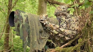 BIRD PHOTOGRAPHY in the forest  Wildlife photography behind the scenes  Nikon Z7 FTZ camouflage [upl. by Oht]