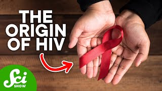 How HIV First Started in Humans [upl. by Frey993]