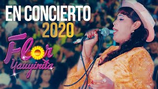 FLOR YAUYINITA  Mix La Campanita  Mix Huaylas  EN CONCIERTO 2022 [upl. by Nnairahs]