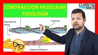 CONTRACCIÓN MUSCULAR FISIOLOGÍA GUYTON explicada FACIL ✅ [upl. by Darej]