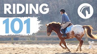 HOW TO RIDE A HORSE EASY BEGINNERS GUIDE [upl. by Saleme296]