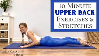 10 Minute Upper Back Stretches  Upper Back Workout at Home [upl. by Dewees]