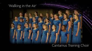 Walking in the Air performed by the Cantamus Training Choir [upl. by Caresa422]