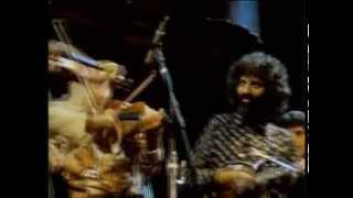 Stéphane Grappelli and David Grisman  Sweet Georgia Brown San Francisco 1982 official HQ video [upl. by Llehsor]