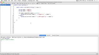 94 Comparing Strings equalsIgnoreCase compareToIgnoreCase  Learn Java [upl. by Lovich962]