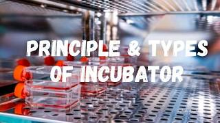 Principle and Types of Incubator [upl. by Thatcher224]