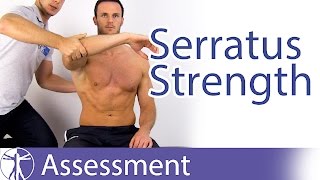 Serratus Anterior Strength Test [upl. by Grier]