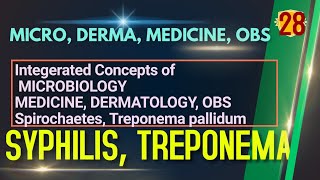 SYPHILIS Treponema pallidum Spirochaetes MICRO 28 VDRL Test Syphilis symptoms TPPA test TPHA [upl. by Gnen]