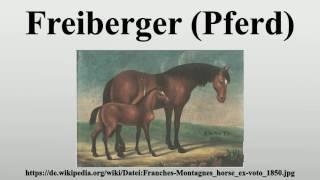 Freiberger Pferd [upl. by Redep]