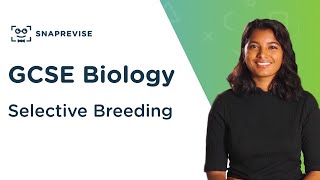 Selective Breeding  91 GCSE Science Biology  OCR AQA Edexcel [upl. by Rossie453]