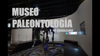 MUSEO DE PALEONTOLOGÍA DE GUADALAJARA  LOS MEJORES MUSEOS DE MÉXICO [upl. by Garzon]