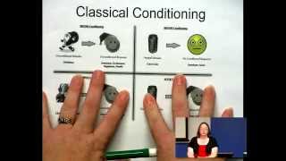 Classical Conditioning  Some Example with Dr Z [upl. by Enimsay]