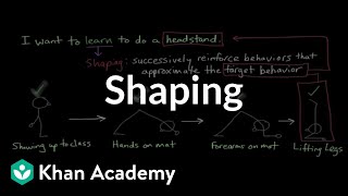 Operant conditioning Shaping  Behavior  MCAT  Khan Academy [upl. by Vanderhoek]