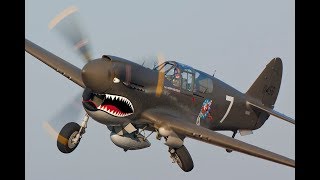 10 Great Airplanes of WWII Starting Up And Fly [upl. by Anaejer71]