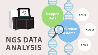 4 Next Generation Sequencing NGS  Data Analysis [upl. by Greenwald]