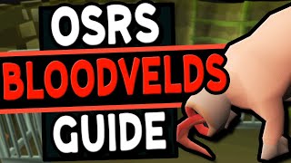 The Ultimate Bloodvelds Guide Old School Runescape [upl. by Osugi]