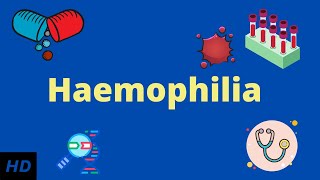 Haemophilia Causes SIgns and Symptoms Diagnosis and Treatment [upl. by Tiffany]