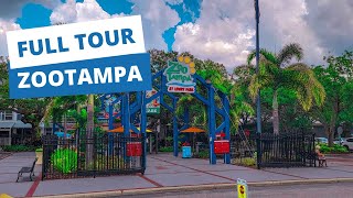 ZooTampa Full Tour [upl. by Romeo]