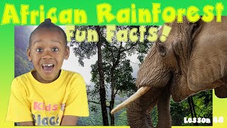 African Rainforest Facts  Kids Black History [upl. by Pandich]