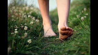 Documental sobre el Earthing quotThe Groundedquot Subtítulos en Español [upl. by Aicirtan]