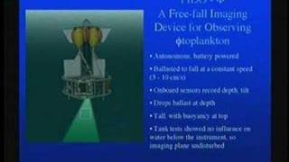 Phytoplankton in the Ocean  Perspectives on Ocean Science [upl. by Eiraminot]