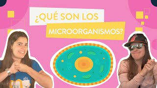 ¿Qué son los MICROORGANISMOS [upl. by Marsha]