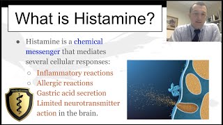 Histamine and its Actions  Quick Review [upl. by Etnecniv936]