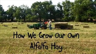 How We Grow Our Own Alfalfa Hay [upl. by Kcirddes875]