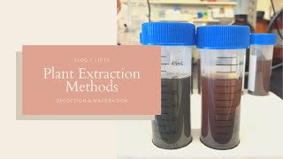 Plant Extraction Methods  Decoction and Maceration  JPTV [upl. by Nadabas]